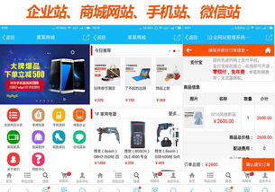 上海正規(guī)公司企業(yè)網(wǎng)站建設(shè) 600全包 送 域名