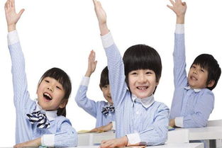 晨樹教育加盟優勢